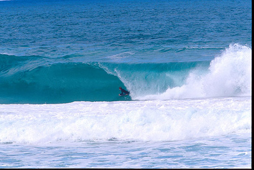 Albany Surf
